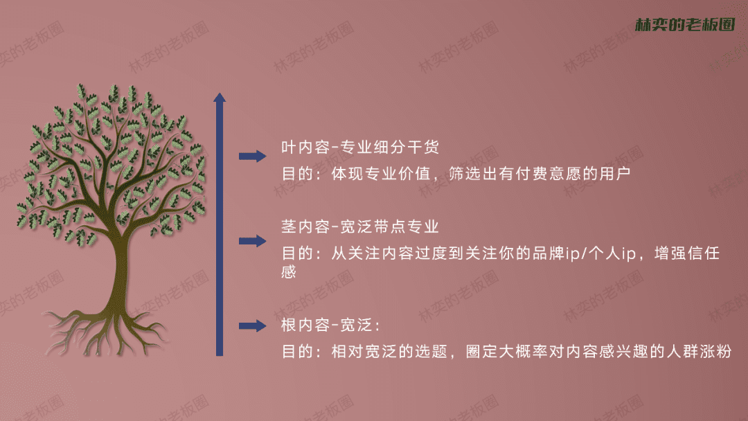 品牌究竟如何做好抖音内容，且避免自嗨
