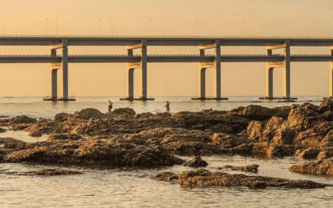 抖音全力做图文，公众号的劲敌来了？