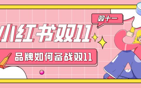 小红书双11营销策略保姆级教程，如何正确备战双11？！（附下载）