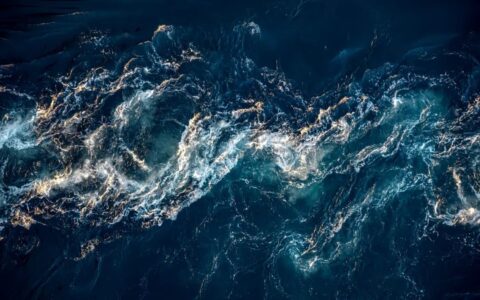 肖明超：被消费者“拷问”的品牌