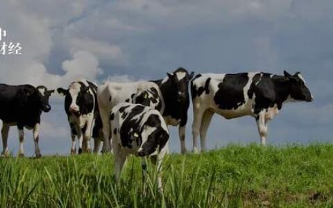 蒙牛,又投了8个亿