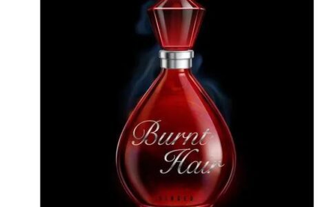 卖香味有多赚钱？马斯克力推“烧焦头发”香水，更有品牌年销售超亿元