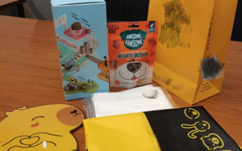 宠物派对成潮流，催生社交“新风口”？