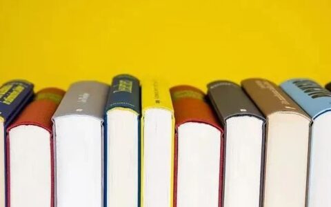 风口里的卖书人