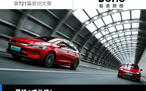 “销冠”比亚迪，出海吃慢鱼