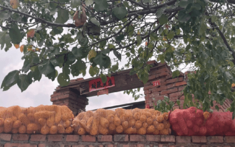 那些移居小城镇的年轻人，后悔了吗？