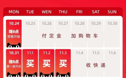 小红书双十一投放攻略