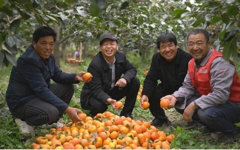 双十一实录 | 有人在买，自然有人在卷
