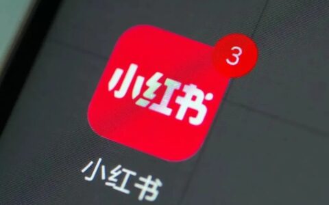 “葬爱家族”，在小红书重生
