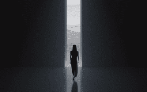 科研能坐冷板凳，产品以用户为中心，一年干出155亿元