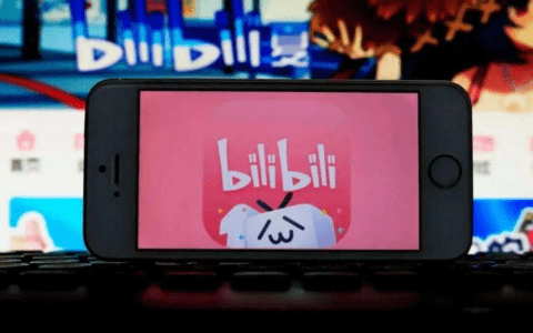 广告增幅超80%,B站双十一做对了什么