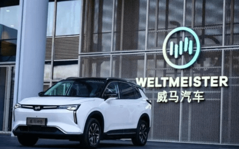 三年巨亏170亿，踩了“自建工厂”深坑，威马艰难“过冬”