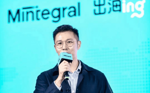 云览科技陈梅杰：中小型项目出海实录&非洲游戏故事会