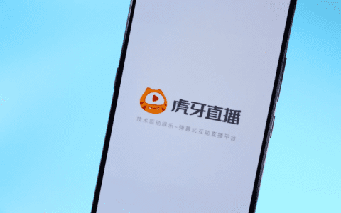 虎牙向下，风口之后的宿命？