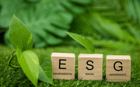 ESG，TO B长期主义里的「新战役」