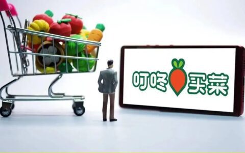 叮咚买菜“历劫”