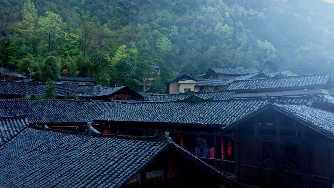 一线业者解读 | 2023年住宿市场的变与不变