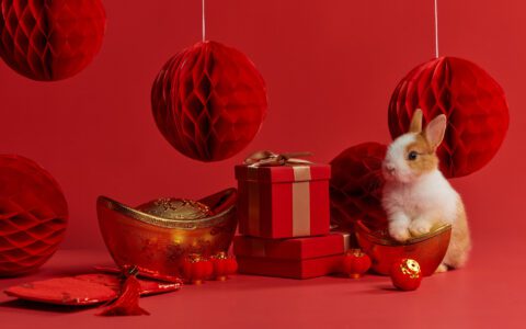 “可爱兔兔”来了！奢侈品大牌在天猫首发超千款兔年新品