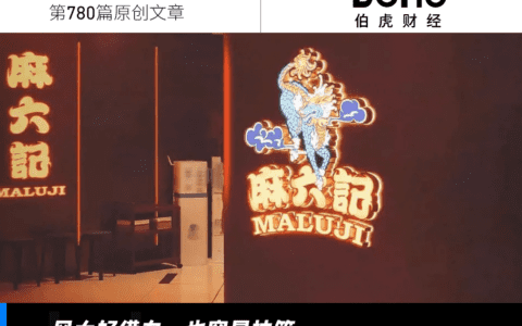 麻六记能火，不止靠“发疯文学”