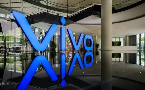 埋头种因、厚积薄发 ，2022是属于蓝厂的一年