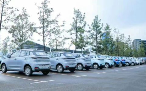 雷丁汽车举报风波背后：微型电动车今年九死一生