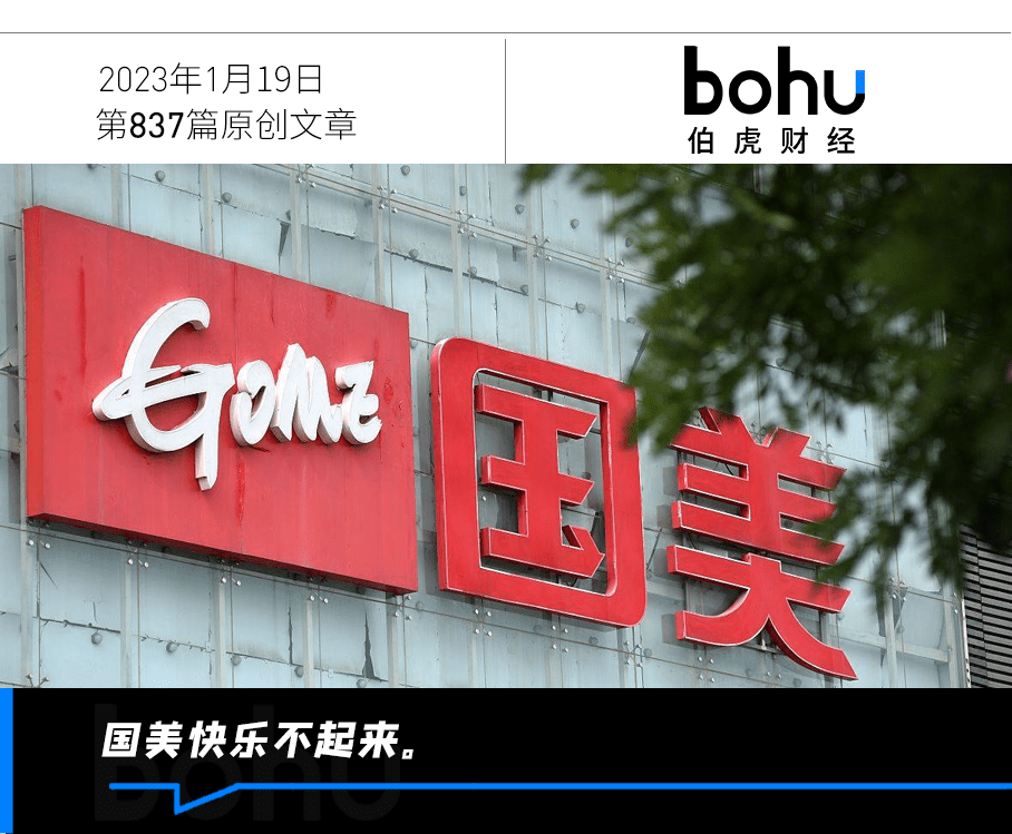 国美的理想和现实