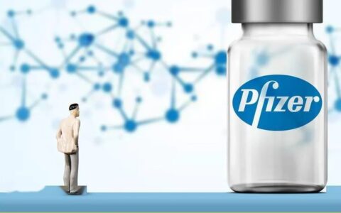 辉瑞P药的红与黑