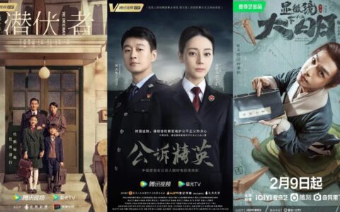 2023剧集市场，谁是下一个“狂飙者”？