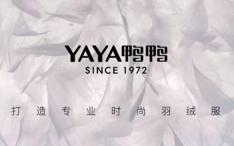 鸭鸭翻红：营销的流星还是产品的寿星？