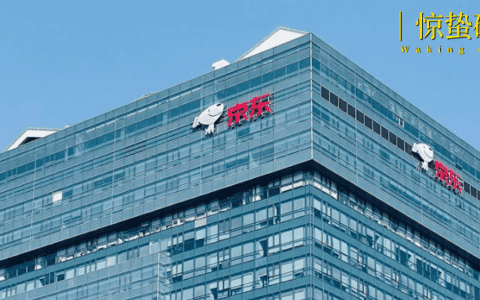 刘强东错过了什么？