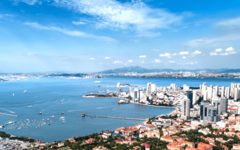 2月18日Starday线下招商会联合线上直播正式开始！——开封站