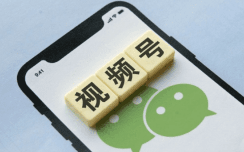 马化腾不相信买量，但视频号还指望不上