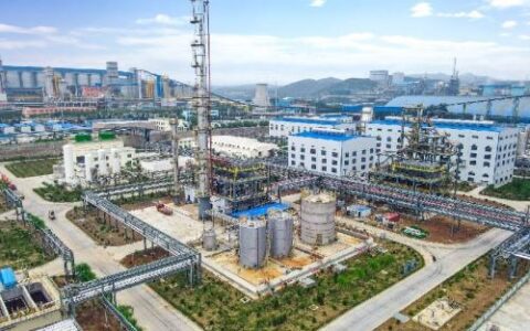 别样“10万+”背后的“碳”路与开路