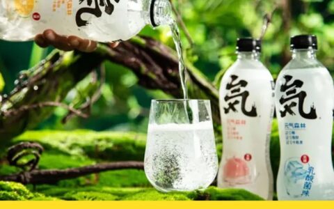 元气森林：做一款争“气”的中国气泡水