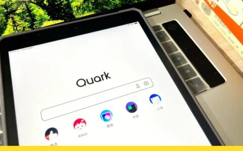 夸克成长的烦恼：被抄袭、盗用