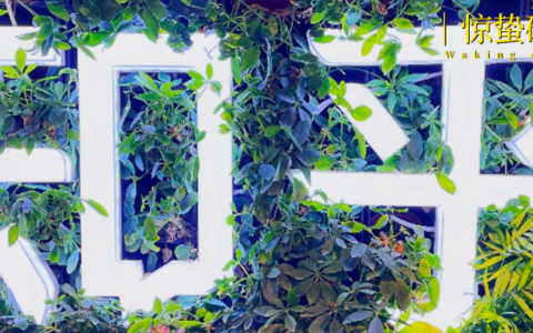 知乎还有“市场”吗？