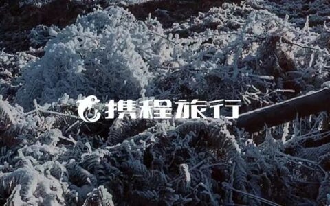 携程的春天，还没说来就来