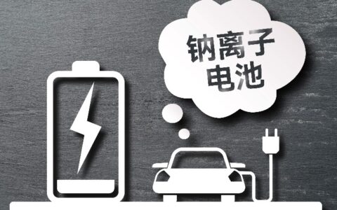 中科院、“宁王”追逐的钠离子电池：风口易起，商业化难落