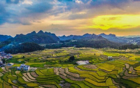 拼多多发财报了，我们更关心钱花到了哪