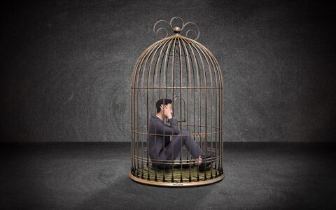 诞生于茧房，逃不出高墙