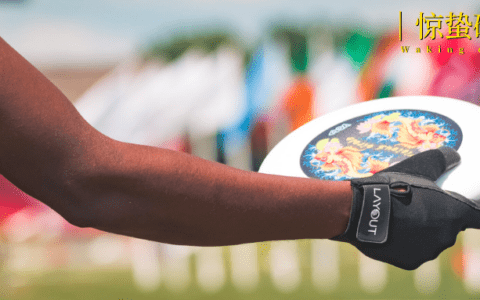 年轻人花500块上一节飞盘课图啥？