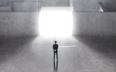 2022年海昌海洋公园业绩再现亏损，“从重向轻”转型路漫漫