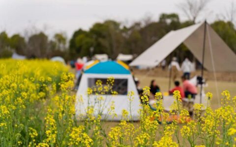摘掉顶流光环，“失宠”的露营更难赚钱了？