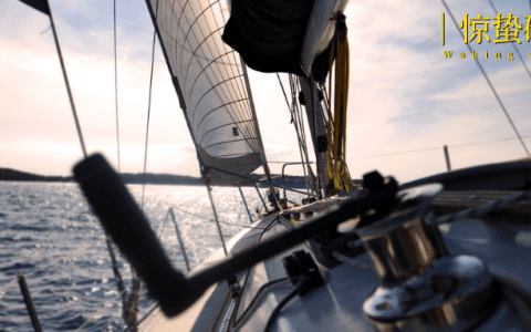 中国新能源汽车向外“卷”