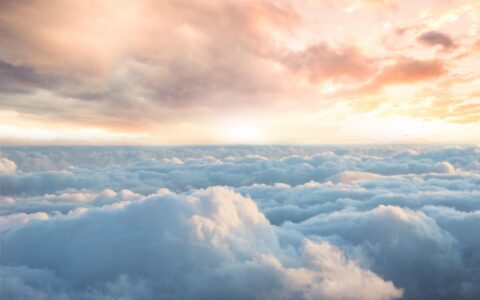 「旧词新唱」小红书借董洁再战直播，瞿芳商业化或仍是南柯一梦