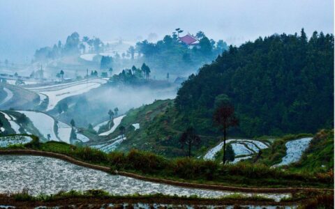 科技赋能电商 直播助力“共富”