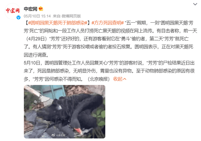 非正常死亡飙升直指原罪,千亿动物园产业何日投身自我救赎?