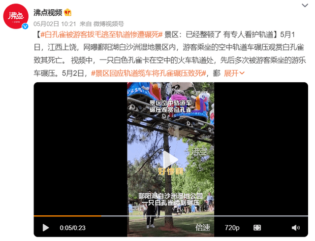 非正常死亡飙升直指原罪,千亿动物园产业何日投身自我救赎?
