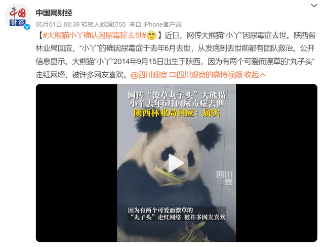 非正常死亡飙升直指原罪,千亿动物园产业何日投身自我救赎?