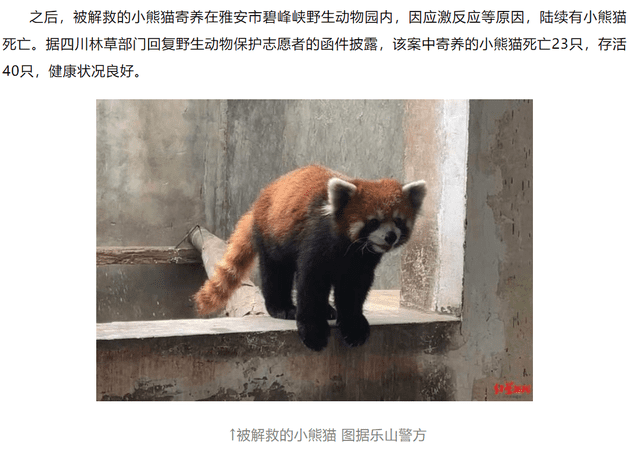 非正常死亡飙升直指原罪,千亿动物园产业何日投身自我救赎?